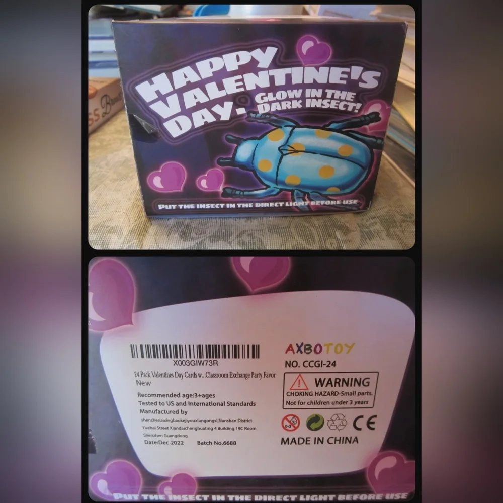 24 Pack Valentine's Cards/Glow Bugs